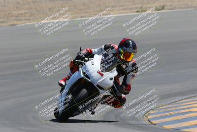 media/Apr-09-2023-SoCal Trackdays (Sun) [[333f347954]]/Turn 10 (115pm)/